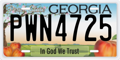 GA license plate PWN4725