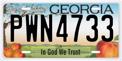GA license plate PWN4733