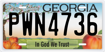 GA license plate PWN4736