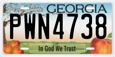 GA license plate PWN4738