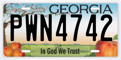 GA license plate PWN4742