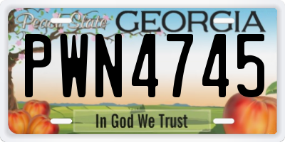 GA license plate PWN4745