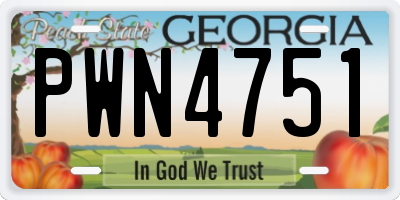 GA license plate PWN4751