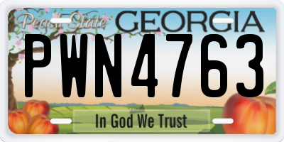GA license plate PWN4763