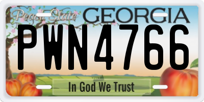 GA license plate PWN4766