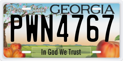 GA license plate PWN4767