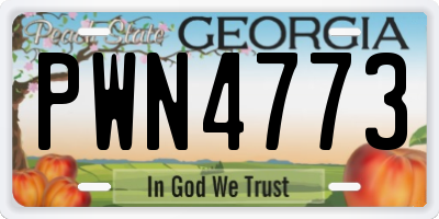 GA license plate PWN4773