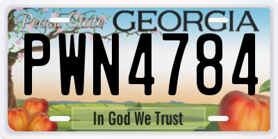 GA license plate PWN4784