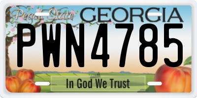 GA license plate PWN4785