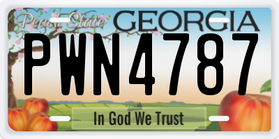 GA license plate PWN4787
