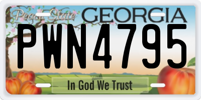 GA license plate PWN4795