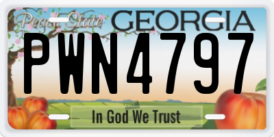 GA license plate PWN4797
