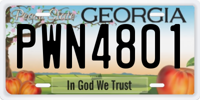 GA license plate PWN4801