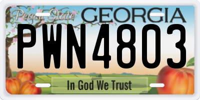 GA license plate PWN4803