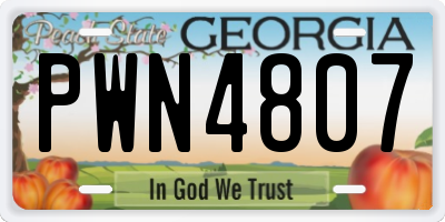 GA license plate PWN4807
