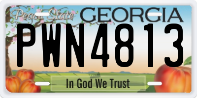 GA license plate PWN4813