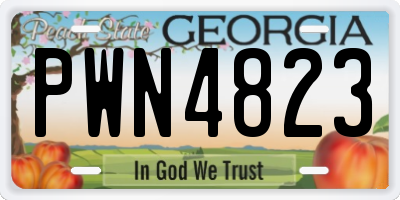 GA license plate PWN4823