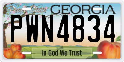 GA license plate PWN4834