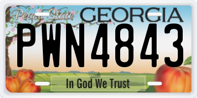 GA license plate PWN4843