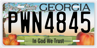 GA license plate PWN4845