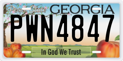 GA license plate PWN4847