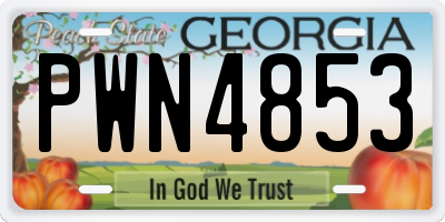 GA license plate PWN4853