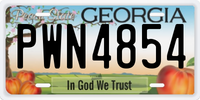 GA license plate PWN4854