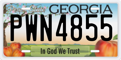 GA license plate PWN4855