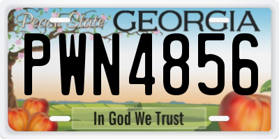 GA license plate PWN4856
