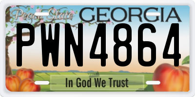 GA license plate PWN4864