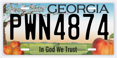 GA license plate PWN4874