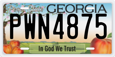 GA license plate PWN4875