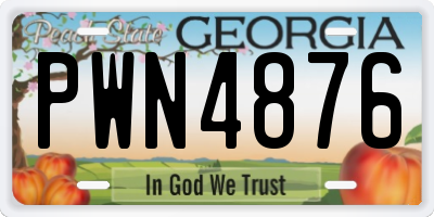 GA license plate PWN4876
