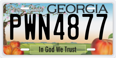 GA license plate PWN4877