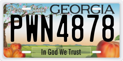 GA license plate PWN4878