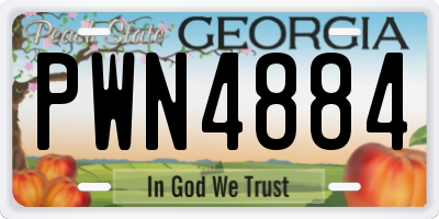 GA license plate PWN4884