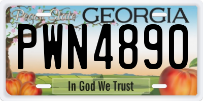 GA license plate PWN4890