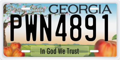 GA license plate PWN4891