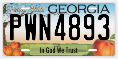 GA license plate PWN4893