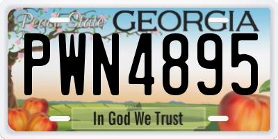 GA license plate PWN4895