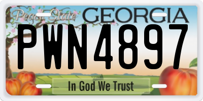 GA license plate PWN4897