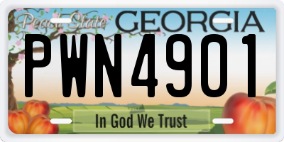 GA license plate PWN4901