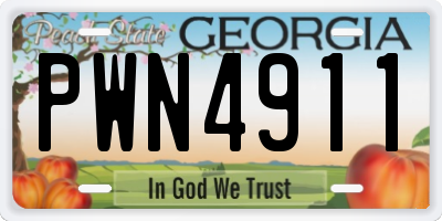 GA license plate PWN4911