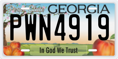 GA license plate PWN4919