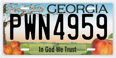 GA license plate PWN4959
