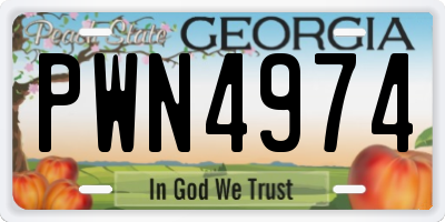 GA license plate PWN4974