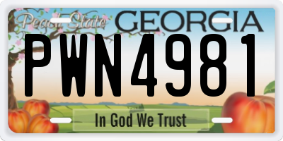 GA license plate PWN4981