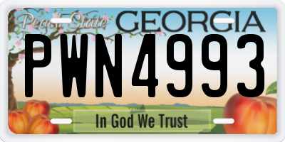 GA license plate PWN4993