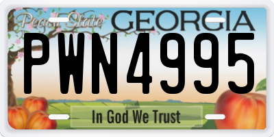 GA license plate PWN4995