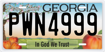 GA license plate PWN4999